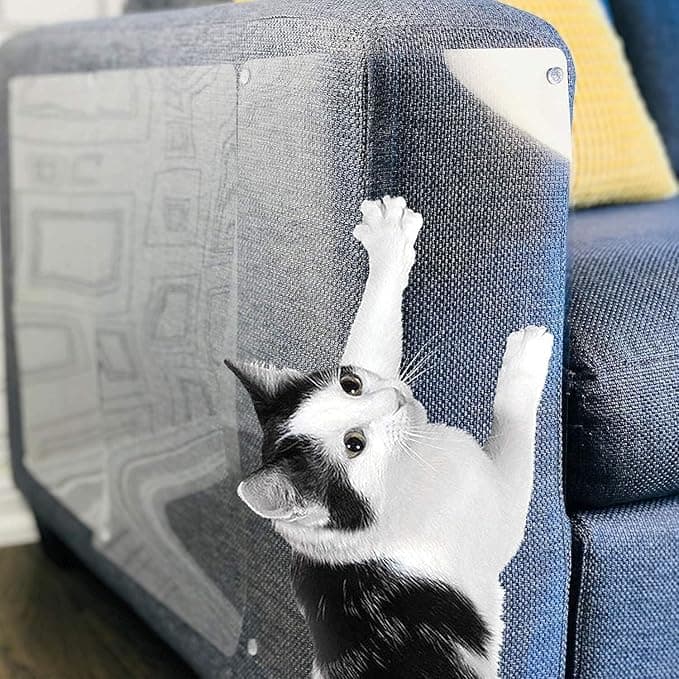 Cat Scratch Protection